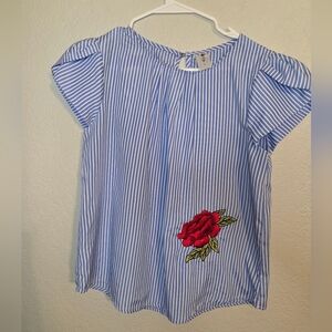 Blue Striped Blouse with Red Floral Embroidery